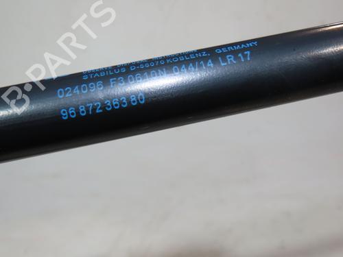Tailgate lift support CITROËN C4 Picasso I MPV (UD_) 1.6 HDi | BP23164206C138 