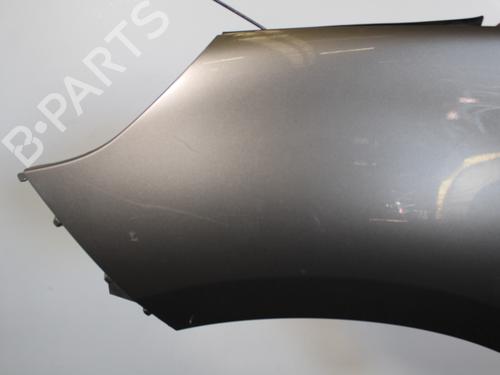 Left front fenders RENAULT SCÉNIC III (JZ0/1_) 1.9 dCi (JZ0J, JZ1J, JZ1K, JZ1S) | BP15201151C41 