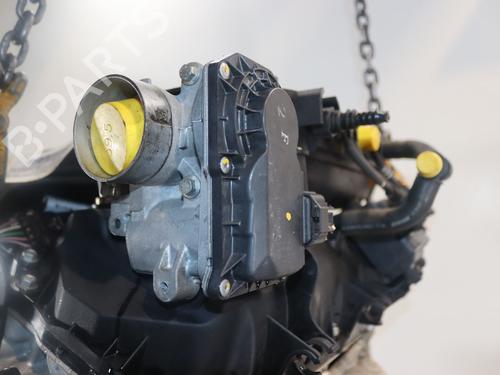 Used Engine RENAULT CLIO III (BR0/1, CR0/1) 1.2 16V (BR02, BR0J, BR11, CR02, CR0J, CR11) (75 hp) 31747717