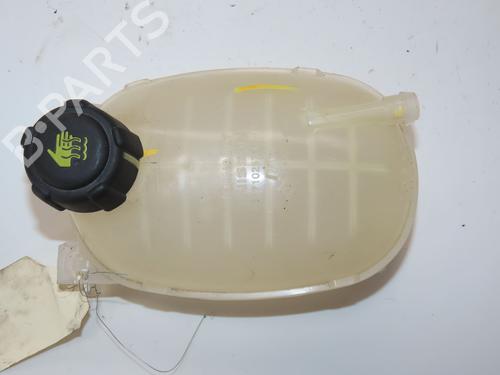 Used Expansion tank DACIA SANDERO III 1.0 TCe 100 ECO-G (101 hp) 28136609