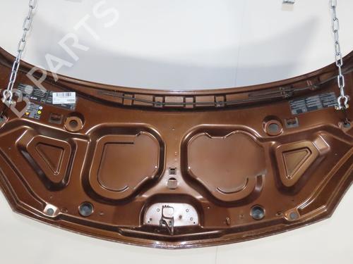 Hood RENAULT TWINGO II (CN0_)  | BP29344622C1 