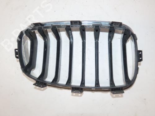 Used Grille Grille 36790027 36790027