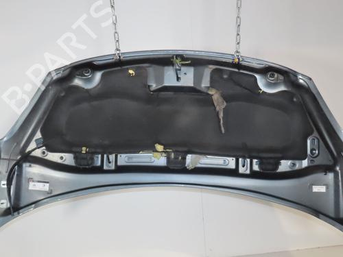 Motorkap CITROËN C3 II (SC_) 1.6 HDi (92 hp) 24488305