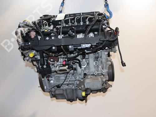 Engine OPEL MOKKA / MOKKA X (J13) 1.6 CDTI (_76) | BP29644034M1 