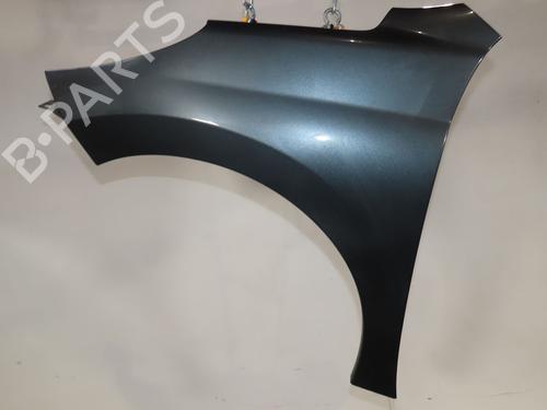 Used Left front fenders PEUGEOT 207 (WA_, WC_) 1.4 HDi (68 hp) 25300233
