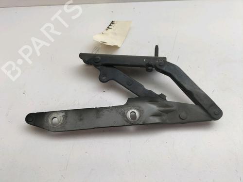 Hinge/Door check strap LAND ROVER RANGE ROVER SPORT I (L320) 3.0 D 4x4 | BP14897583C146 
