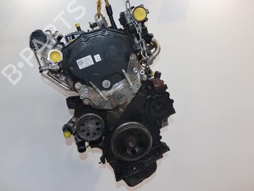 Engine FORD TRANSIT CUSTOM V362 Van (FY, FZ) 2.0 EcoBlue | BP28206162M1 