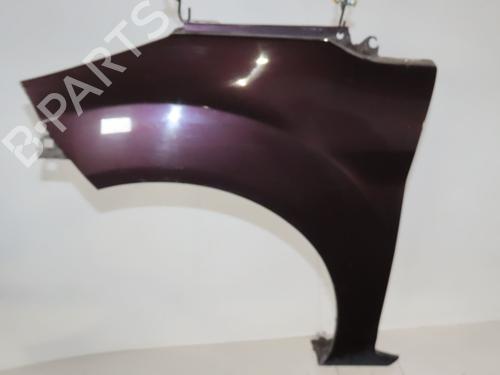 Left front fenders FORD FIESTA VI (CB1, CCN) 1.6 TDCi | BP29293907C41 