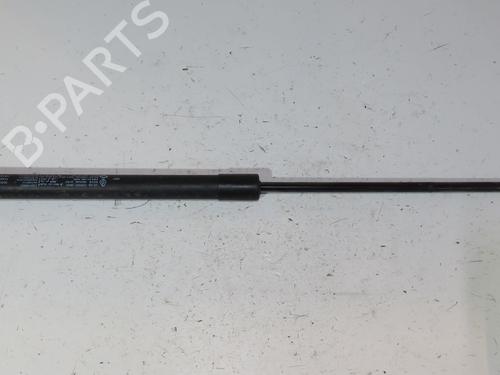 tailgate-lift-support-renault-arkana-i-lcm_-ldn_-2019-29344733 main image