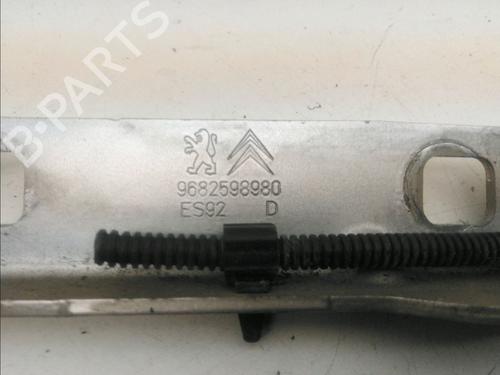 Hinge/Door check strap PEUGEOT 3008 I MPV (0U_) 1.6 HDi | BP15492772C146 