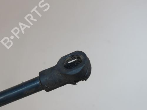 Tailgate lift support RENAULT LAGUNA III Grandtour (KT0/1) 2.0 dCi (KT07, KT0J, KT14, KT1A, KT1S) | BP30164785C138