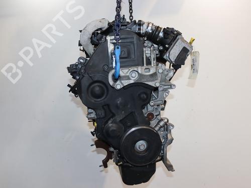 Motor FORD FIESTA VI (CB1, CCN) 1.6 TDCi | BP29442259M1 