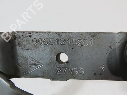 Hinge/Door check strap PORSCHE BOXSTER (986) S 3.2 | BP15047879C146 