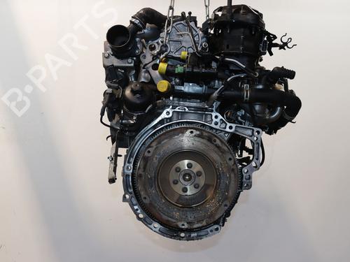 Motor FORD FIESTA VI (CB1, CCN) 1.5 TDCi (75 hp) 24601314