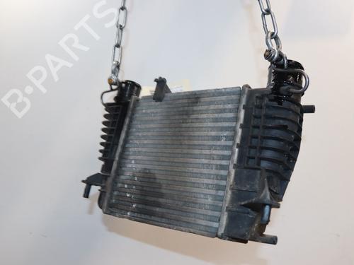 Used Other RENAULT CLIO III Grandtour (KR0/1_) 1.5 dCi (KR0F) (86 hp) 28105514