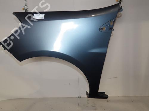 Left front fenders RENAULT CLIO III (BR0/1, CR0/1) 1.5 dCi (C/BR0G, C/BR1G) | BP27393684C41