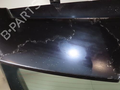 Used Tailgate OPEL CORSA D (S07) 1.2 (L08, L68) (80 hp) 24489305