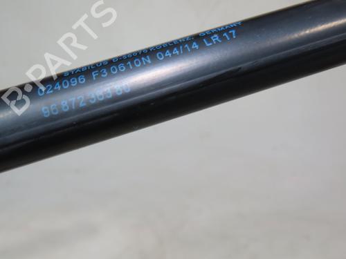 Tailgate lift support CITROËN C4 Picasso I MPV (UD_) 1.6 HDi | BP23164248C138 