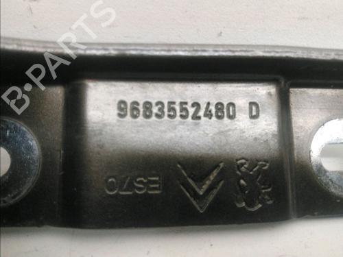 Used Hinge/Door check strap CITROËN C3 II (SC_) 1.6 HDi (92 hp) 15492775