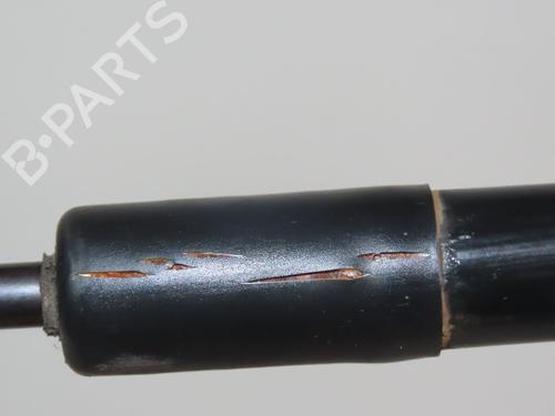 Tailgate lift support RENAULT MEGANE III Grandtour (KZ0/1) 1.5 dCi (KZ09, KZ0D, KZ1G, KZ29, KZ14, KZ1W, KZ10, KZ1F,... | BP23164234C138 