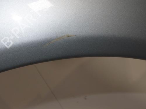 Left front fenders CITROËN C3 Pluriel (HB_) 1.6 | BP24419893C41 