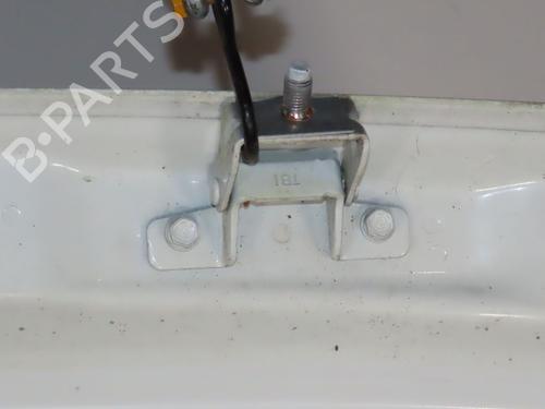 Used Tailgate HYUNDAI i10 II (BA, IA) 1.0 (67 hp) 31325488