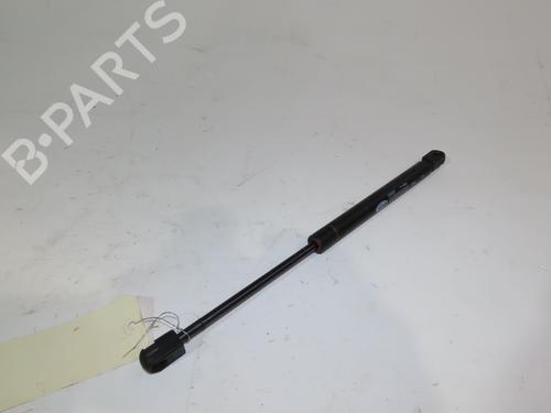 Gasdæmper bagklap RENAULT AVANTIME (DE0_) 2.2 dCi (DE01) (150 hp) 18352609