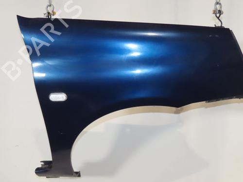 Right front fenders RENAULT CLIO II (BB_, CB_) 1.5 dCi (B/CB07) | BP29963011C42