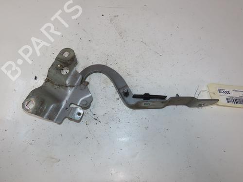 hingedoor-check-strap-renault-zoe-bfm_-2012-38527187 main image