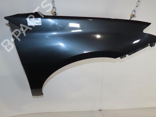 Used Right front fenders RENAULT LAGUNA III (BT0/1) 2.0 dCi (BT07, BT0J, BT14, BT1A, BT1S) (131 hp) 24419886