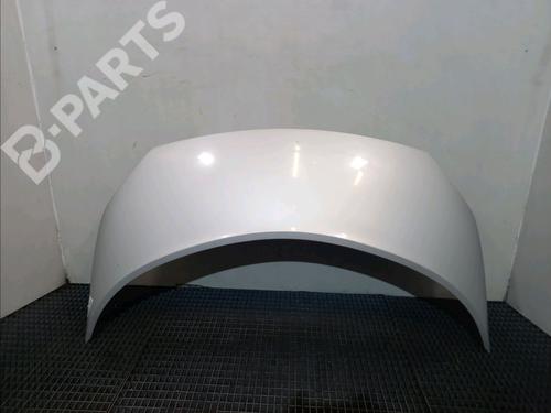 Hood RENAULT SCÉNIC II (JM0/1_) 1.5 dCi (JM16) 651001097R