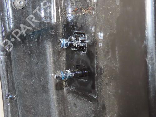 Used Right rear door RENAULT CLIO III (BR0/1, CR0/1) 1.2 16V (BR02, BR0J, BR11, CR02, CR0J, CR11) (75 hp) 30868255