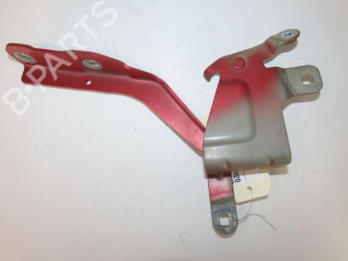 Hinge/Door check strap RENAULT CLIO IV (BH_) 1.5 dCi 90 | BP27926461C146 