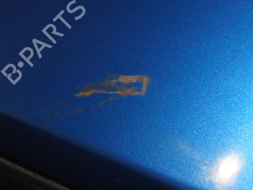 Used Tailgate RENAULT CLIO III (BR0/1, CR0/1) 1.5 dCi (C/BR0G, C/BR1G) (68 hp) 30291887