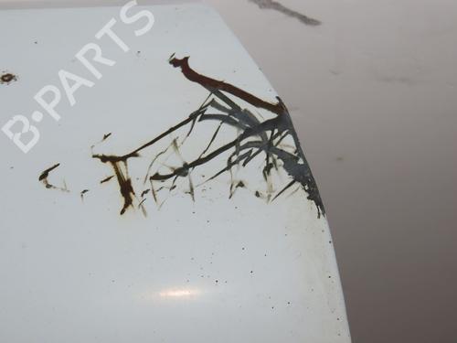 Left tailgate RENAULT KANGOO Express (FW0/1_) 1.5 dCi 70 (FW0A, KW0V) | BP31634674C76 