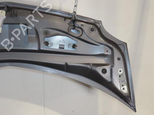 hood-renault-modus-grand-modus-fjp0_-2004-30486795 main image