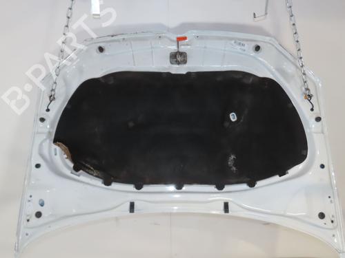 Hood VW POLO V (6R1, 6C1) 1.6 TDI | BP29601526C1 