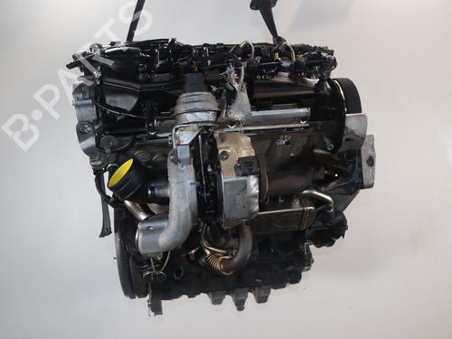 Engine VW GOLF VI (5K1) 1.6 TDI | BP31961583M1