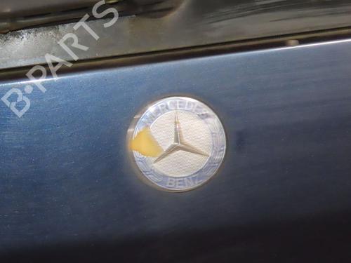 Used Tailgate MERCEDES-BENZ M-CLASS (W163) ML 270 CDI (163.113) (163 hp) 25207651