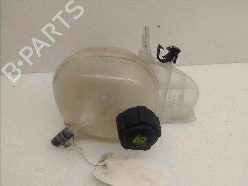 Ekpansionstank RENAULT TWINGO III (BCM_, BCA_) 1.0 SCe 70 (BCMB) (69 hp) 15577664