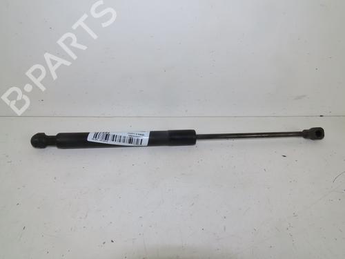 Hood lift support RENAULT KANGOO Express (FW0/1_) 1.5 dCi 75 (FW07, FW10, FW04) | BP23162360C139