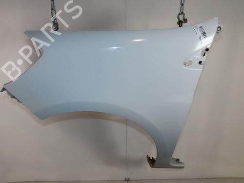 Left front fenders RENAULT CLIO III (BR0/1, CR0/1) 1.5 dCi | BP24157926C41 