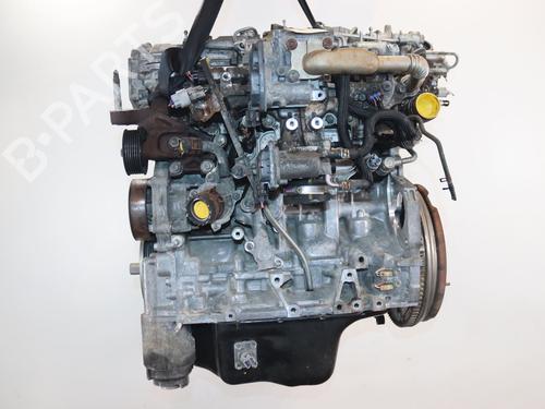 Used Engine Engine 38005079 38005079
