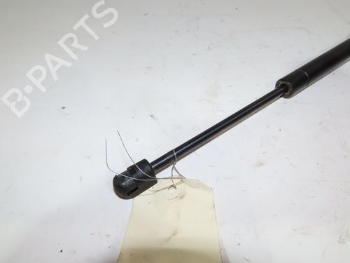 Tailgate lift support RENAULT AVANTIME (DE0_) 2.2 dCi (DE01) | BP18352613C138 