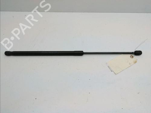 Used Tailgate lift support FORD FIESTA VI (CB1, CCN) 1.4 TDCi (68 hp) 14898893