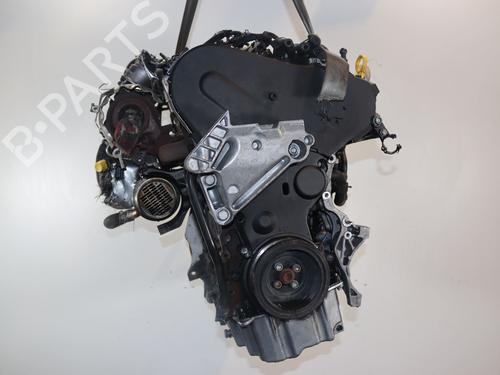 Engine VW GOLF VII (5G1, BQ1, BE1, BE2) 1.6 TDI | BP31325347M1