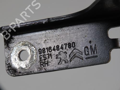 Used Hinge/Door check strap CITROËN BERLINGO (ER_, EC_) 1.5 BlueHDi 130 (ECYHZJ, ECYHZR) (131 hp) 31634610