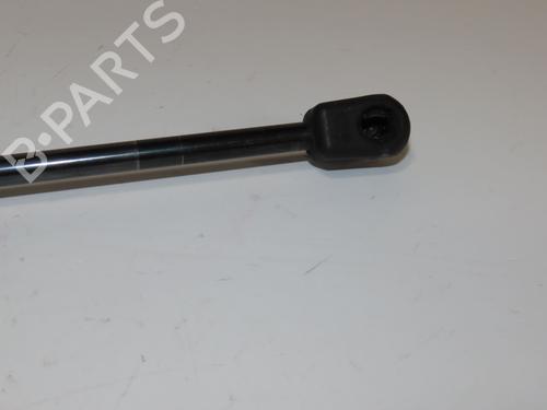 Tailgate lift support RENAULT CLIO IV (BH_) 1.5 dCi 90 | BP17869148C138 