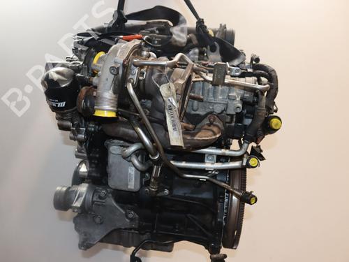Engine SEAT IBIZA IV (6J5, 6P1) 1.4 TSI | BP31119725M1