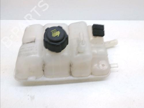 Expansion tank RENAULT MEGANE IV Grandtour (K9A/M/N_) 1.5 dCi 110 | BP14996464C120 